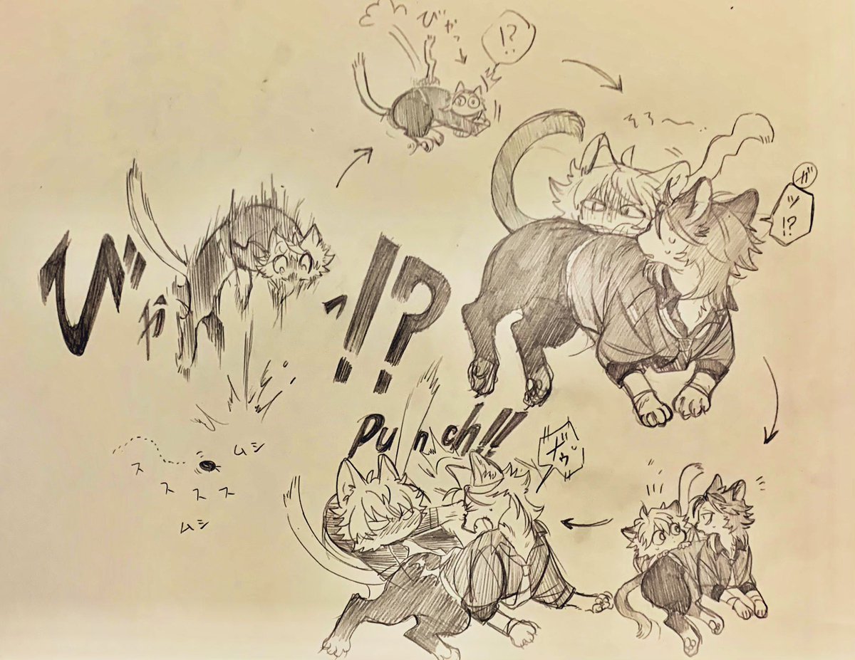 猫のガスウィル とむし?? 