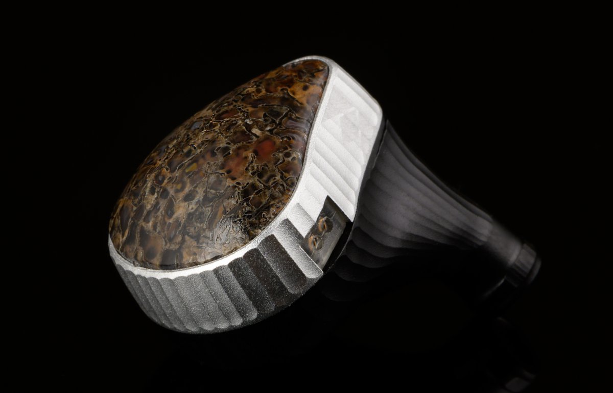 noblebywizard's tweet photo. Going prehistoric! Dinosaur bone Noble Sultan
#iems #inearmonitors #earphones #handcrafted #custominears #nobleaudio #audio46 #wizard #noble #handcrafted #highend #luxury #custom #portableaudio #craftsmanship #music
#wizard #noble #sultan #thesultanofsound #limitededition https://t.co/4dr2FNY6WS