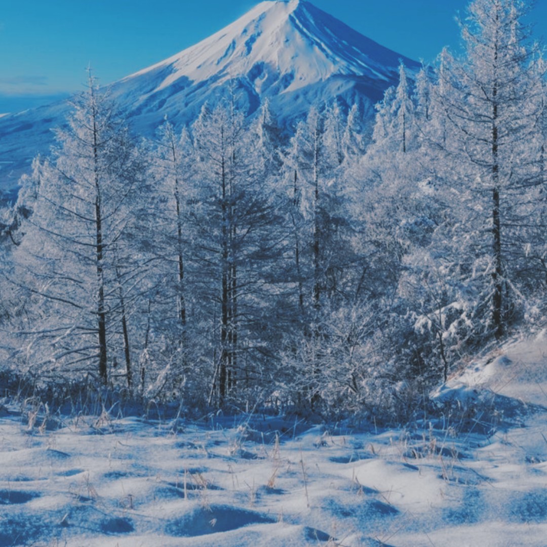 - Empty Skies( https://archiveofourown.org/works/1261096/chapters/2599474)