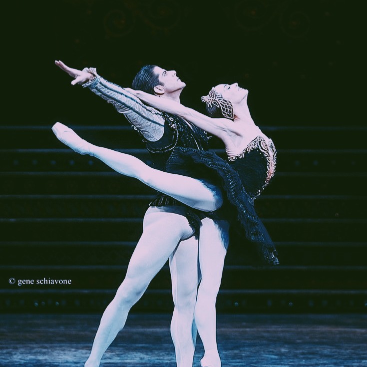 - Flightless Bird( https://archiveofourown.org/works/6401653/chapters/14656807)