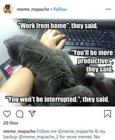 Jason_Horne79's tweet image. The joys of working from home! 😂 
#weekendlaughs #remoteworkingchallenges #catsneedattentiontoo #preferreditgroup