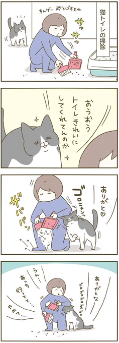 何か持ってると腕グンッてしてくる
それが猫 