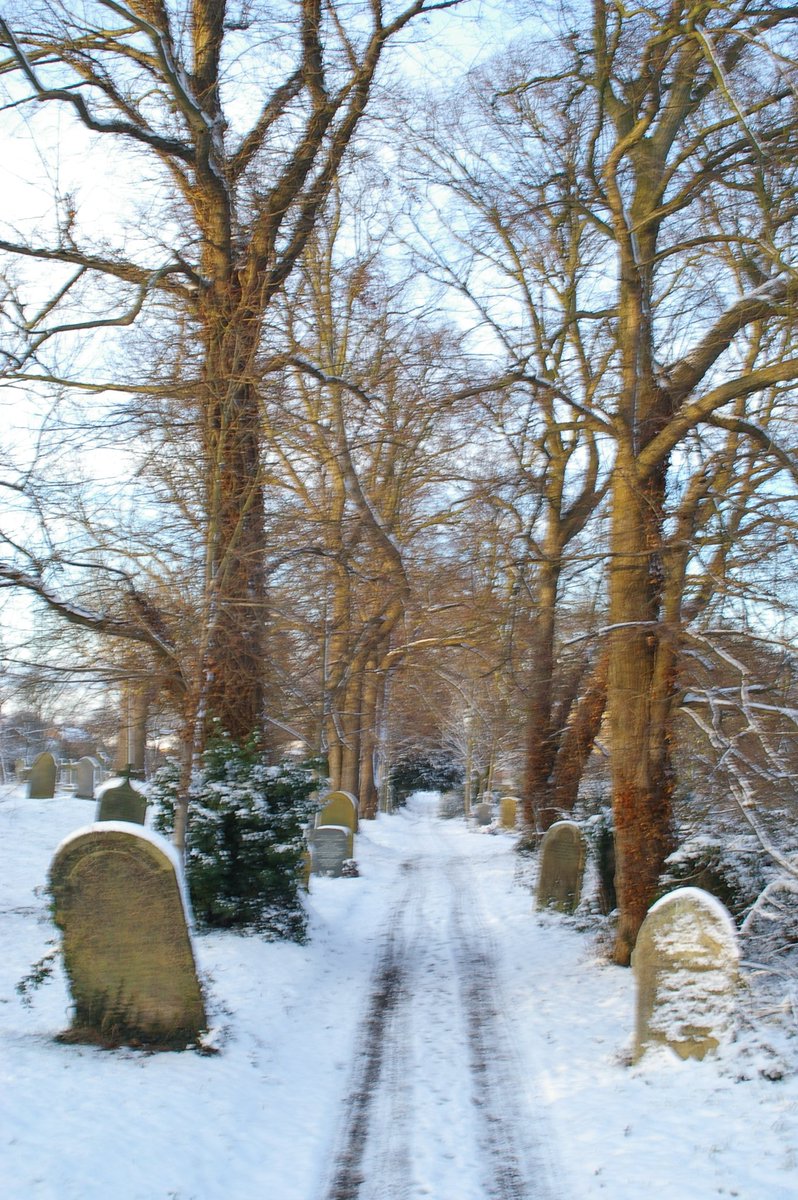 Friends of York Cem tweet media