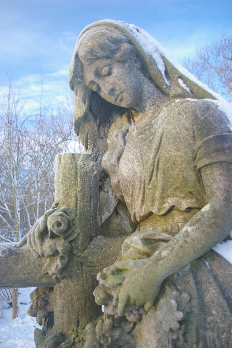 Friends of York Cem tweet media