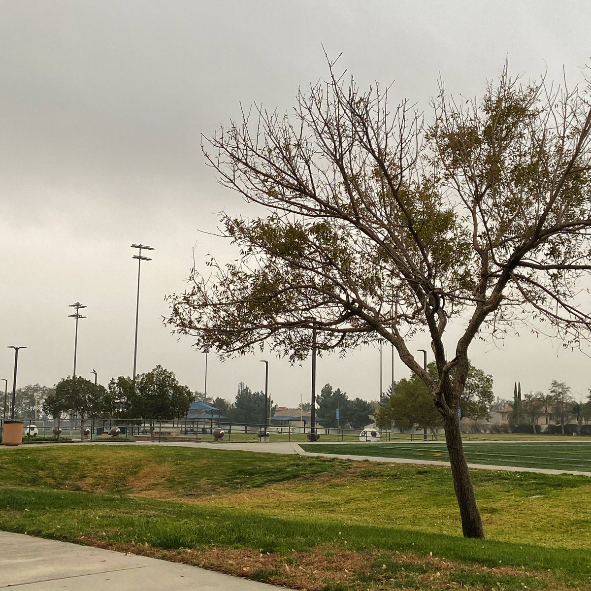 EmHernandez2021's tweet image. A gloomy morning for my workout today...love this weather! 🏃🏻‍♀️⚽️☁️ #alwayswork #nooffdays