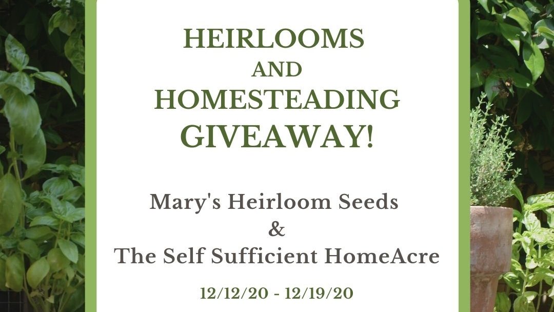 How to Make a Survival Seed Bank  theselfsufficienthomeacre.com/2019/10/how-to…