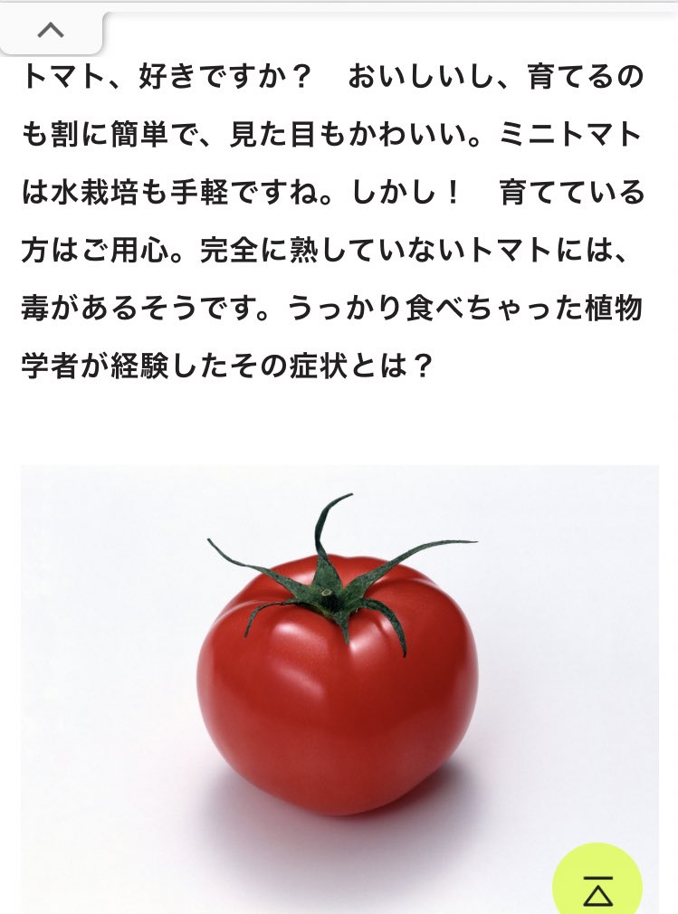 Muninn 自宅警備中フルチン ナス科というと有名な有毒植物の宝庫のイメージ チョウセンアサガオとかベラドンナとかワルナスビとか そうそう タバコもナス科に属するんだったような ミステリファンはそのネタで一作は読んでるはず