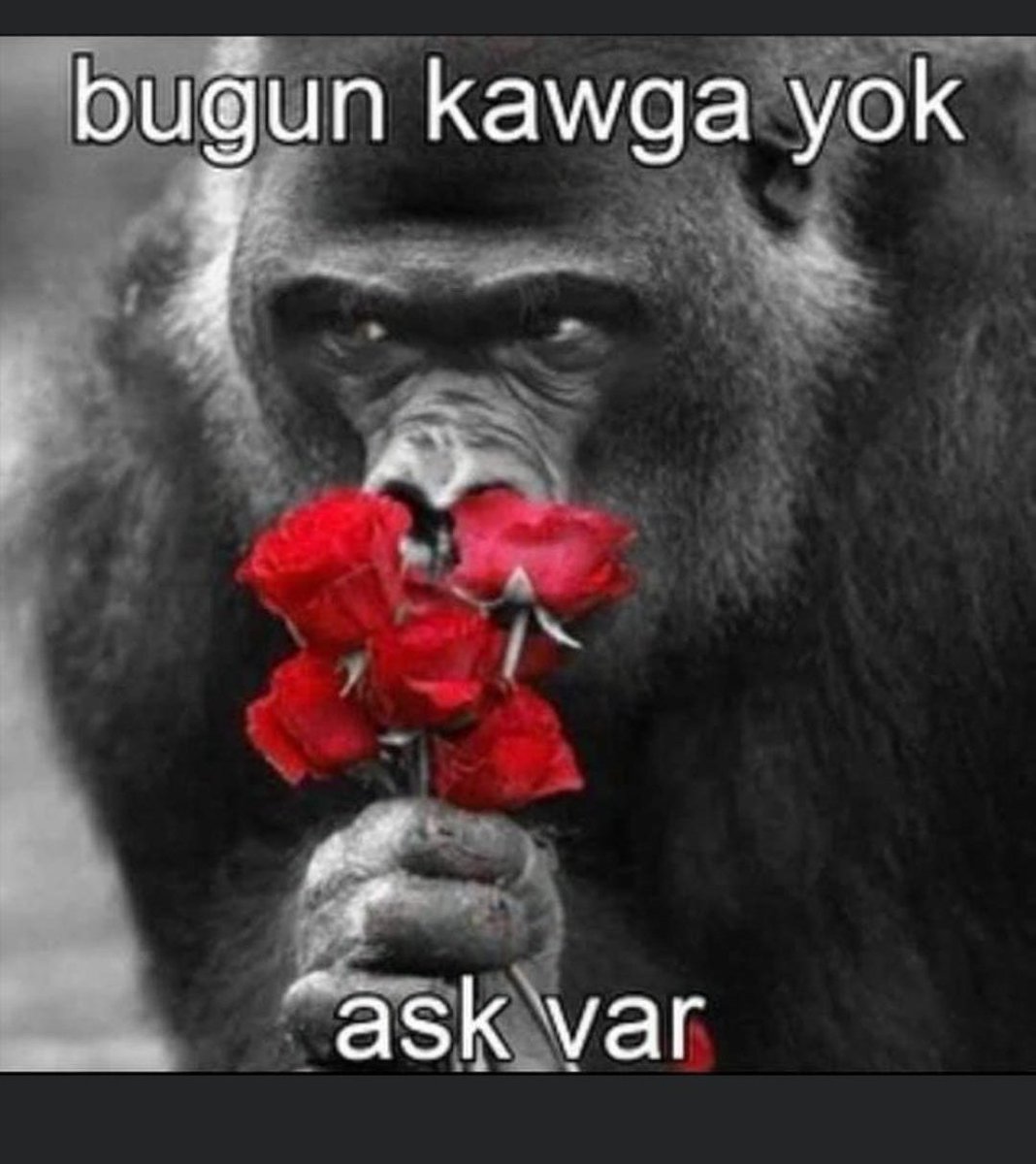 EpCCaJwXcAAfV2M.jpg
