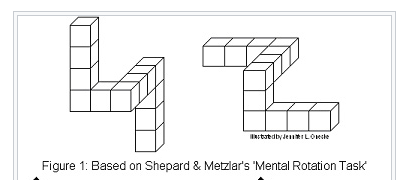 If you care a lot about mental rotation, then men will look better.