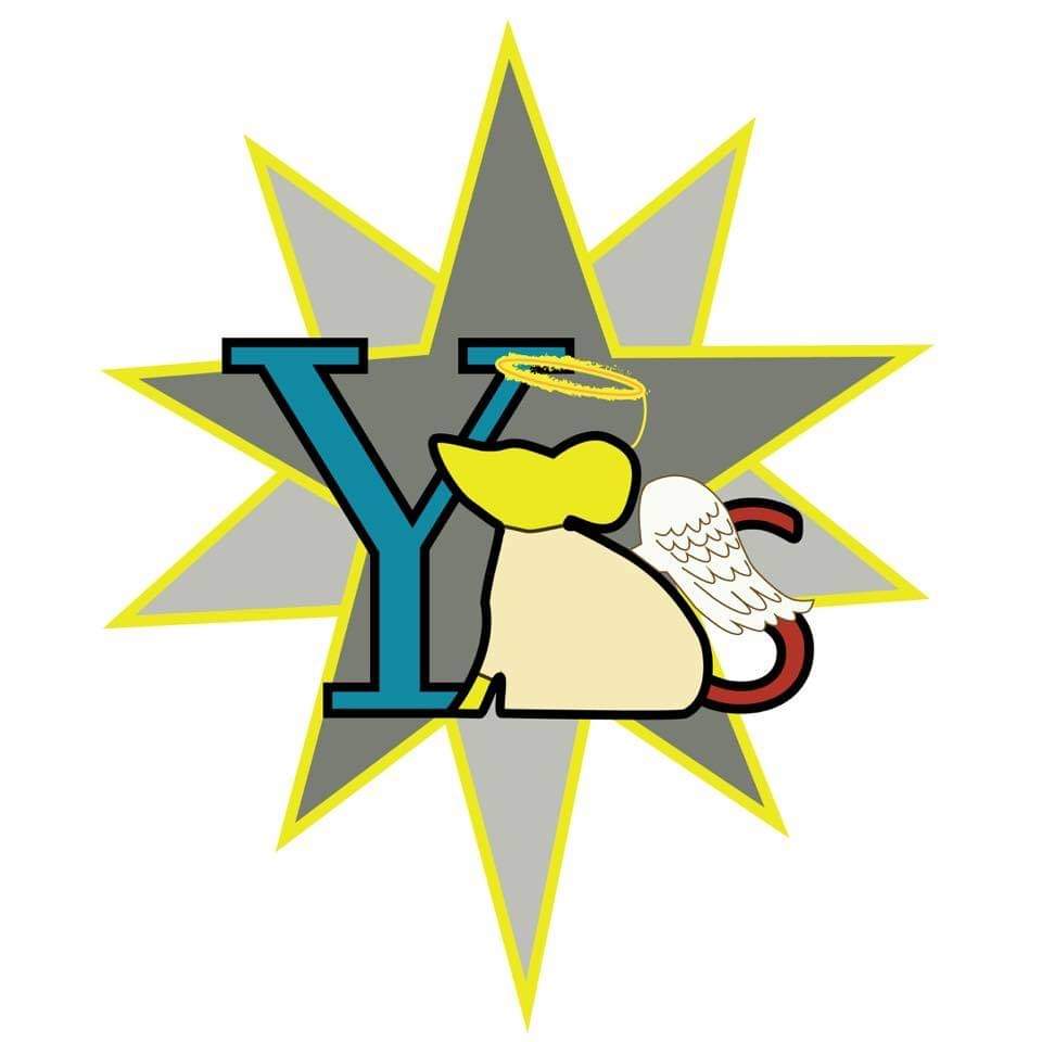ymsanimation's tweet photo. Angel or star at the top of the tree 🤔 Why not both!
#Christmas2020 #illustration #logo #LOGOSYSTEM #DigitalMarketing https://t.co/IaBubEG3CL