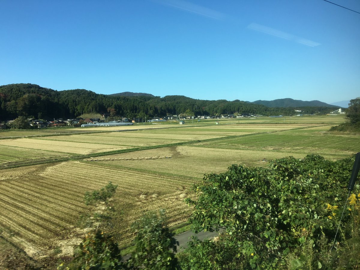 Turning inland towards Tsuruoka and Sakata, you get a great view of some of Japan's agricultural heartlands, as well as its unique field structures and arable practices: small fields, floodable, chaff burned to fertilise.