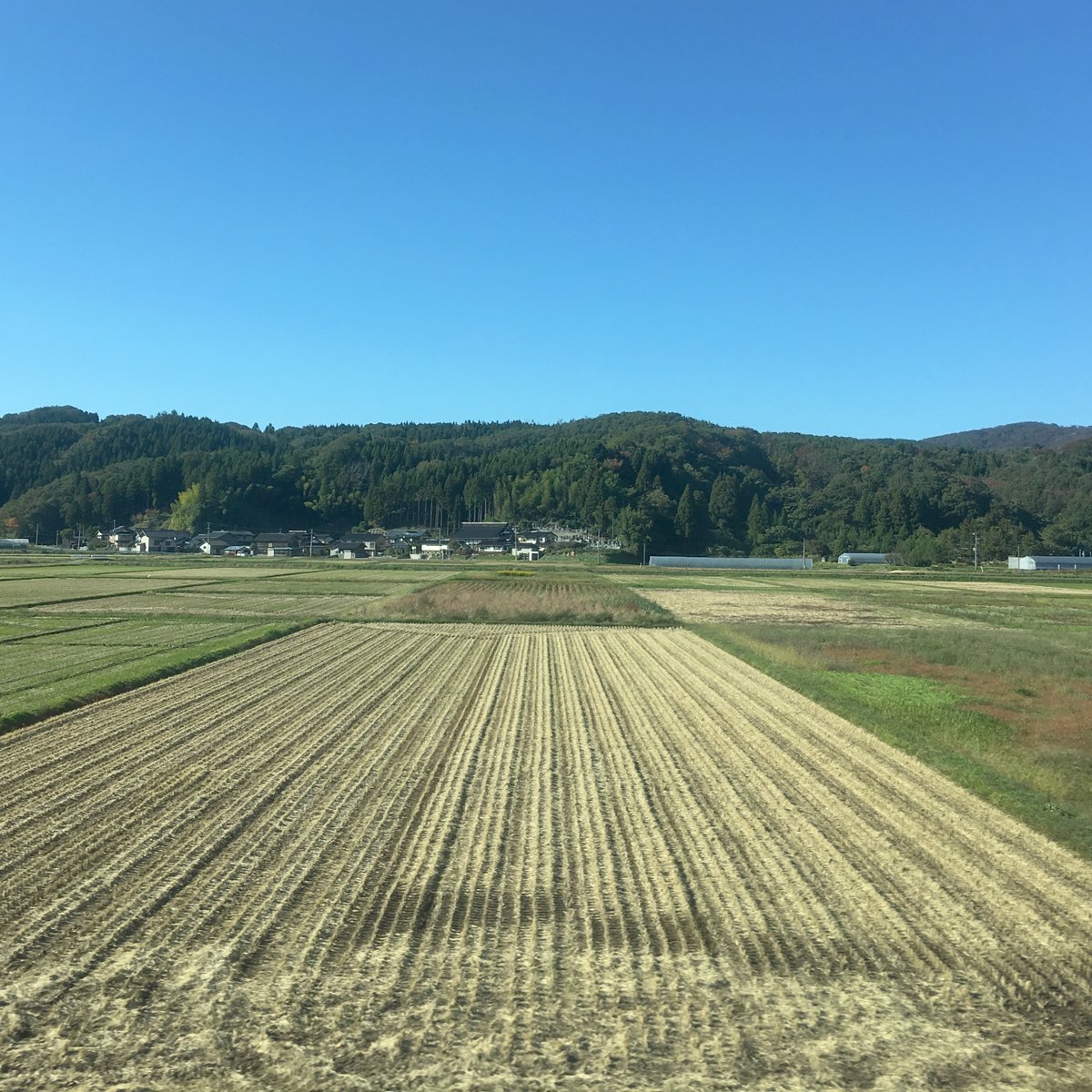 Turning inland towards Tsuruoka and Sakata, you get a great view of some of Japan's agricultural heartlands, as well as its unique field structures and arable practices: small fields, floodable, chaff burned to fertilise.