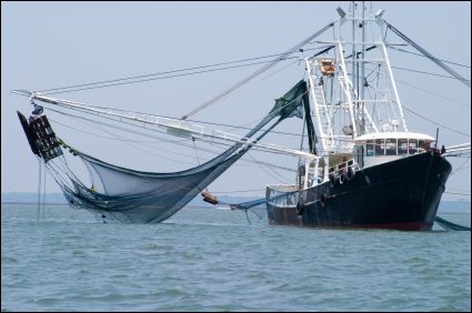 Almost all of our cod and haddock comes from the Icelandic, Norwegian and Barents Seas.After  #Brexit, that's foreign waters the UK trawlers will not be allowed to trespass in.