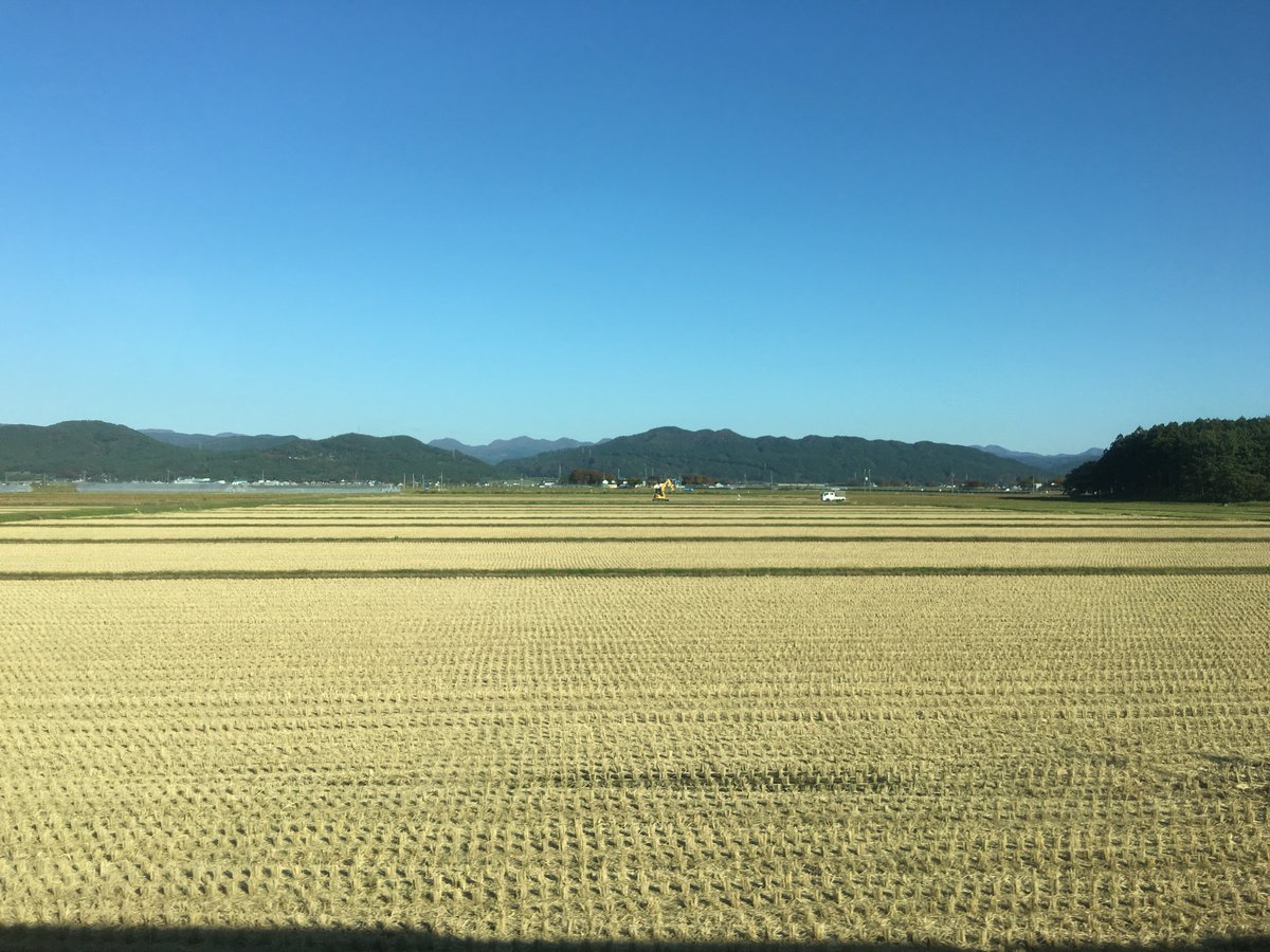 Turning inland towards Tsuruoka and Sakata, you get a great view of some of Japan's agricultural heartlands, as well as its unique field structures and arable practices: small fields, floodable, chaff burned to fertilise.