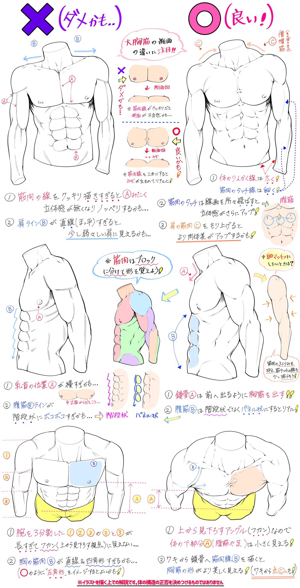 吉村拓也 イラスト講座 男性の筋肉の描き方 が上達する ダメかも と 良いかも T Co Tabxbojjvj Twitter