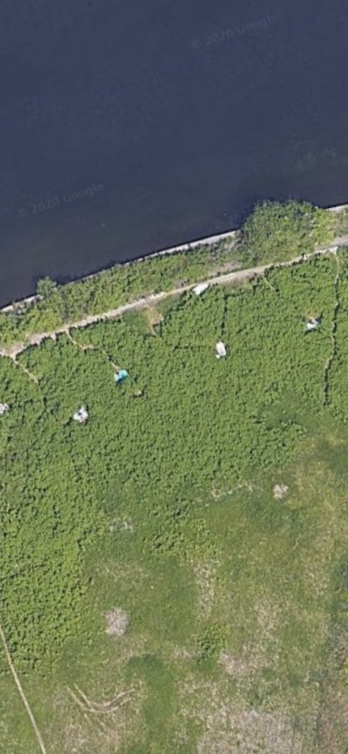 太 細 No War ゲイ流行語大賞 解説 第12位 Ibsm 都内にある野外発展場を頭文字で表した名称 日焼けエリアの先に高い茂みがあり 迷路状に開拓された発展スペースがある アクセスの良さや自粛ストレス発散もあり5月頃より賑わった 夏にはブルー