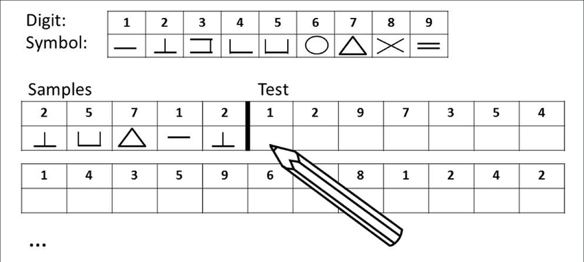 Though apparently women do better (on average) at Digit-symbol substitution