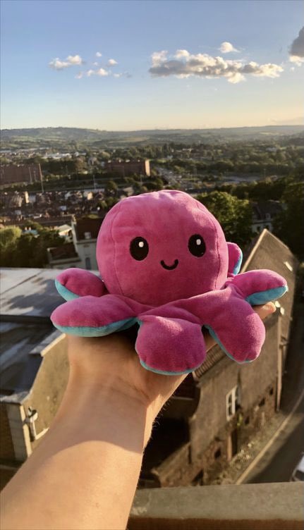 while you’re here, check out these adorable cuddly plushies! reversible and therapeutic, so soft too   http://bit.ly/octoplushies&nbsp;