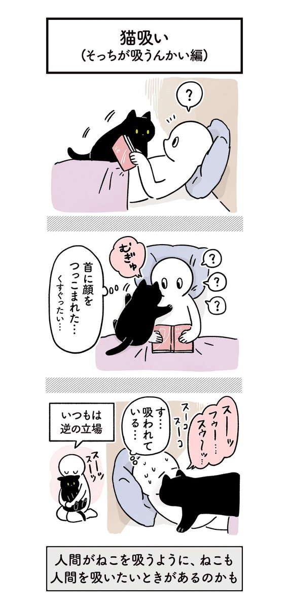 猫 吸い と は