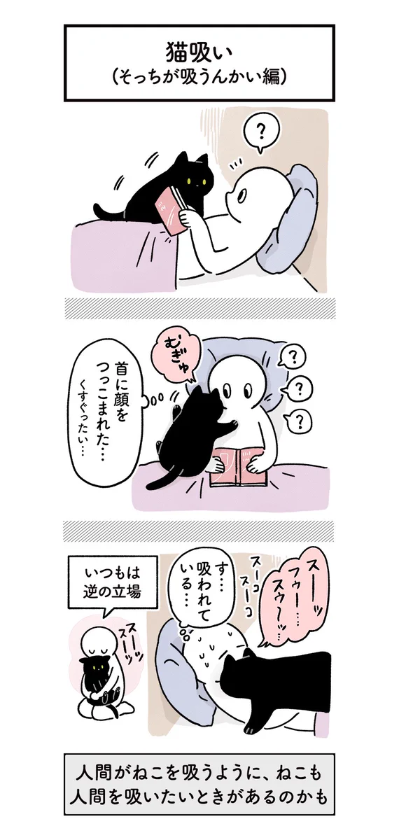 飼い主が猫の匂いを吸っていると？猫も同じく飼い主を吸ってくる！
