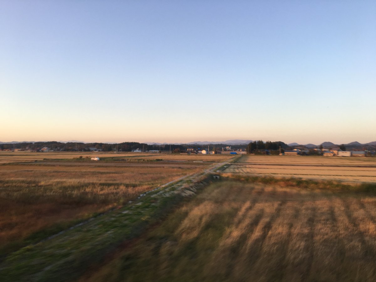 Trundling through the Japanese countryside at dusk is such an utter delight.(No need to zoom into the photos. They're "2015 iPhone" blurry.)