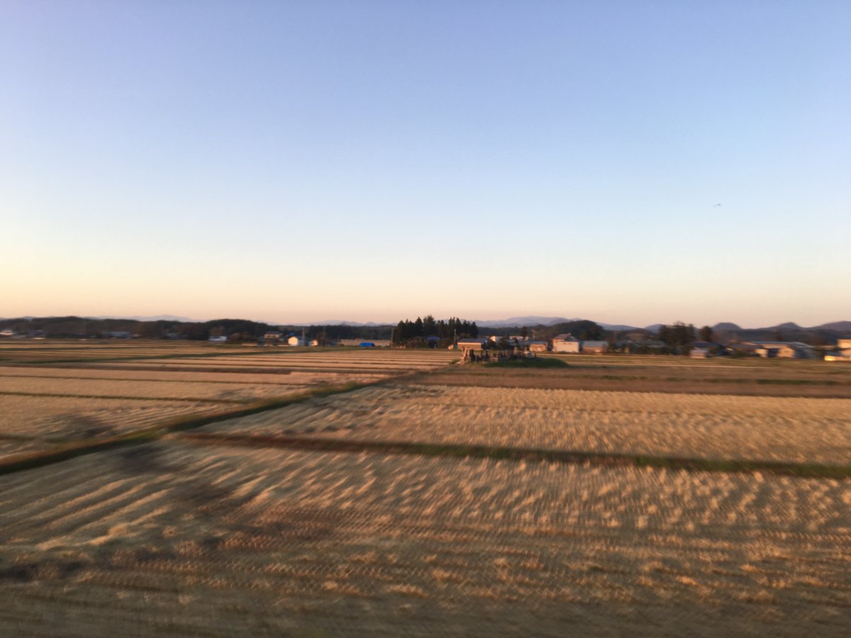 Trundling through the Japanese countryside at dusk is such an utter delight.(No need to zoom into the photos. They're "2015 iPhone" blurry.)