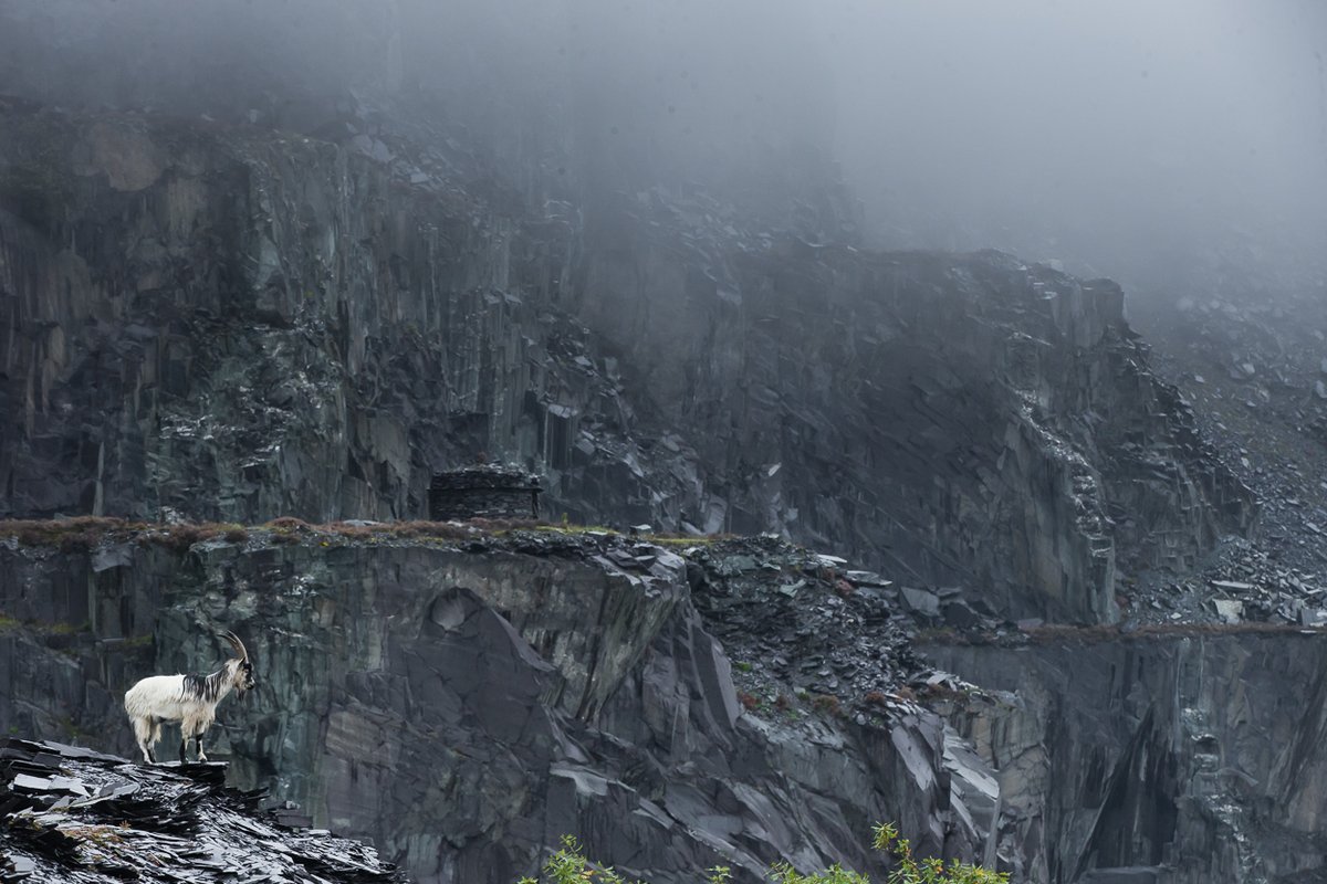 KevMorgans tweet media