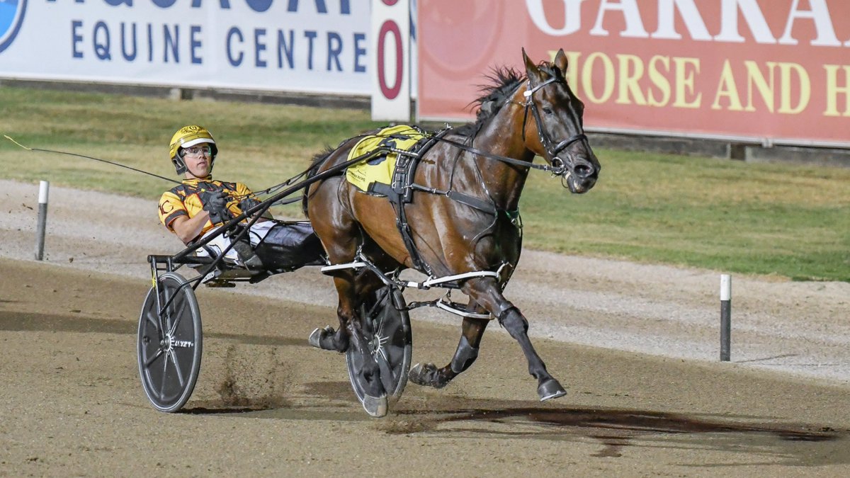 Club Menangle tweet media