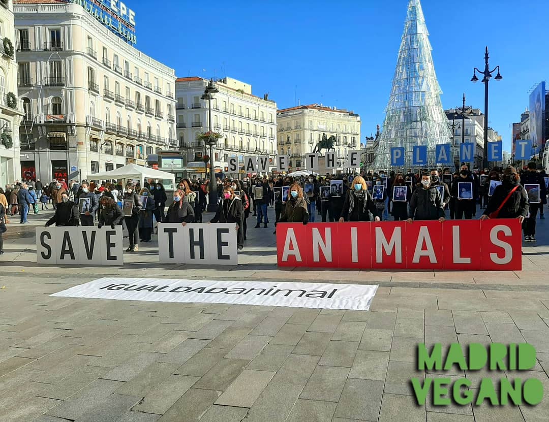 madrid_vegano's tweet photo. 📣 Ahora en #Madrid, acto por el #Diadelosderechosanimales organizado por @IgualdadAnimal #DIDA2020 #animales #antiespecismo #veganismo #activismo #savetheanimals 🙏🐾💚 https://t.co/Oyzskh3eDj