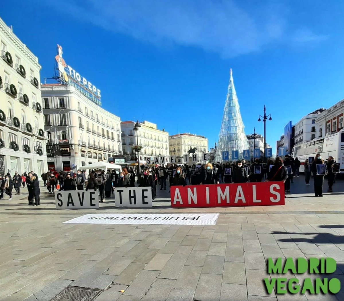 madrid_vegano's tweet photo. 📣 Ahora en #Madrid, acto por el #Diadelosderechosanimales organizado por @IgualdadAnimal #DIDA2020 #animales #antiespecismo #veganismo #activismo #savetheanimals 🙏🐾💚 https://t.co/Oyzskh3eDj