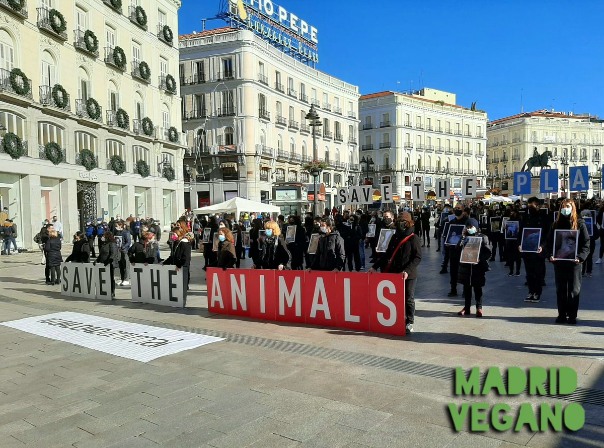 madrid_vegano's tweet photo. 📣 Ahora en #Madrid, acto por el #Diadelosderechosanimales organizado por @IgualdadAnimal #DIDA2020 #animales #antiespecismo #veganismo #activismo #savetheanimals 🙏🐾💚 https://t.co/Oyzskh3eDj
