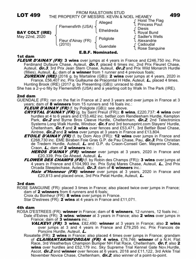 Selling tomorrow lot 499 ⁦@tatts_ireland⁩ Nov NH sale ⁦<a href="/coolmorestud/">Coolmore</a>⁩ #FLEMENSFIRTH colt out of a G1 winner and from a high class French family. Half brother and only runner from dam already is a blacktype WINNER and blacktype placed in France. ⁦@wildbilly2016⁩