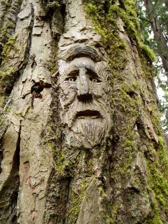 The Apple Tree Man is the name given to the spirit of the oldest apple tree in an orchard and is found across Old English folklore, particularly in the South West. The health and fertility of the orchard is thought to reside within this figure.