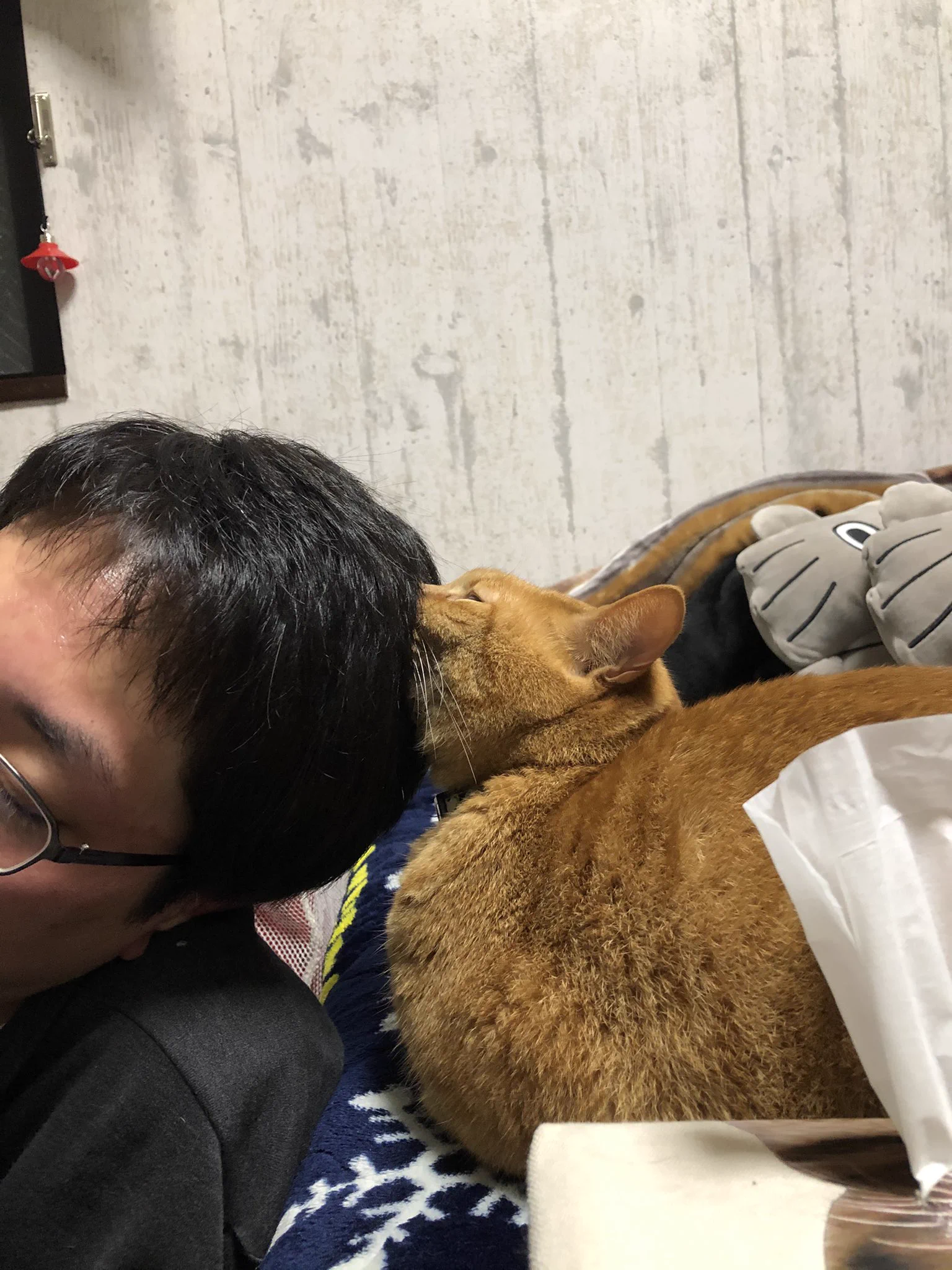 @bou128 うちの旦那大好きアナスタシアも、よく吸っておりますwww
私は吸われません
旦那限定です
なので、吸わせていただきます(˙꒳​˙ ) 