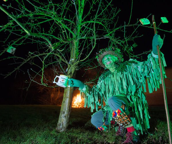 Apple Tree Man may be seen as a midwinter version of other male harvest figures of English and Welsh custom, such as the Green Man, Jack-in-the-Green, the Green Knight and Green George.