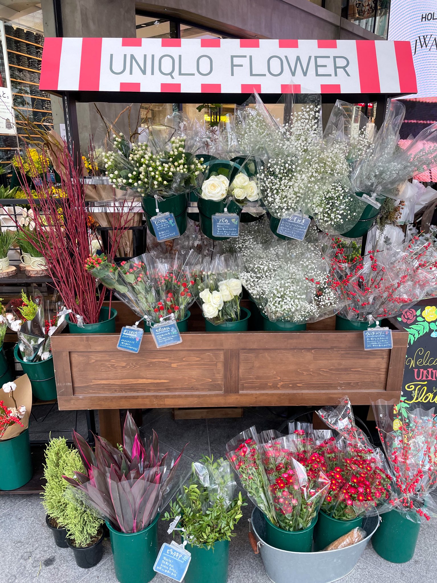 Twitter 上的 Rie トレンド研究 コスパ抜群すぎる花束が作れるuniqloflower 1束390円 3束で990円 という驚きの価格 ブーケのオーダーも可能で クラフト紙のシンプルなラッピングもこれまた パリ風でおしゃれ ボリュームもしっかりあるのに 都内の花屋さんと比較