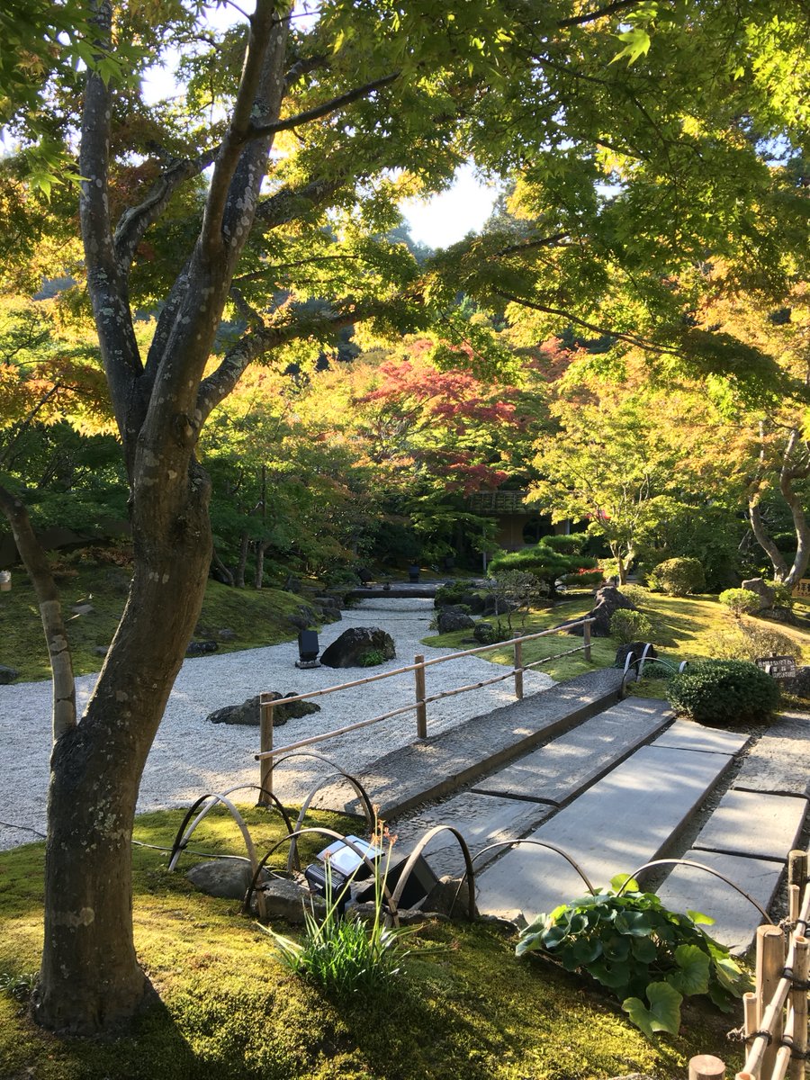 No matter where you are in Japan, keep an eye on your map app for temples (which are, disconcertingly for many of us, represented by a swastika, which apart from its European infamy is also a Buddhist symbol).I almost literally stumbled across the lovely Entsuin in Matsushima.