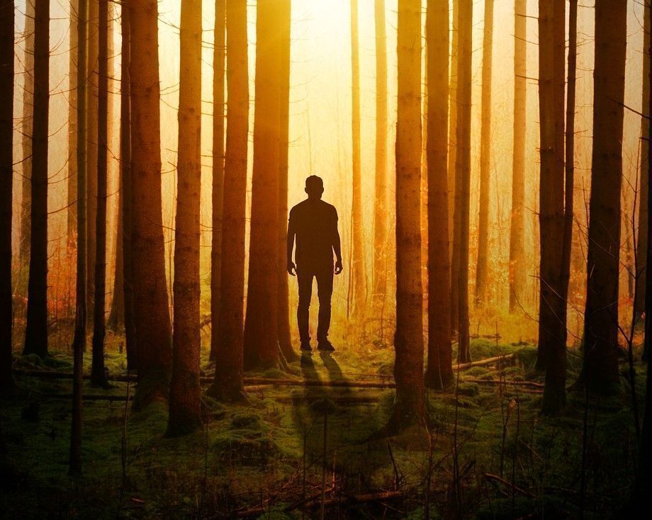yreintegration's tweet photo. Learn how to overcome #fears. Ultimately, they are not our enemies.
Visit https://t.co/DwflELWzsL
#ReintegrationBlog #Consciousness #Meditation #DissolvingFears #Aversions #Fear #PersonalTransformation #SelfHelp #SpiritualGrowth #HowToOvercomeFear #InnerWork #InnerPeace https://t.co/rvGcNJ0ADv