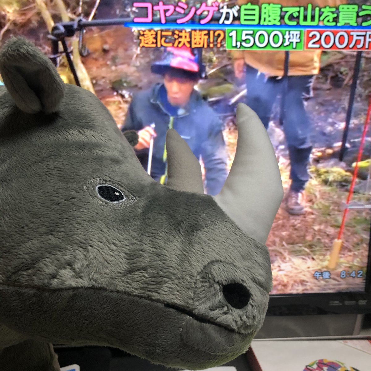 Mai Story チンチャうまっかのmvでまっすーが持ってたikeaのサイ くん 誕生日プレゼントにもらった 巨大スプーンもあるからチンチャうまっかのmvのまっすーできる Mai Story チンチャうまっかのmvでまっすーが持ってたikeaのサイ くん 誕生日プレゼントにもらった 巨大スプーンもあるからチンチャうまっかのmvのまっすーできる