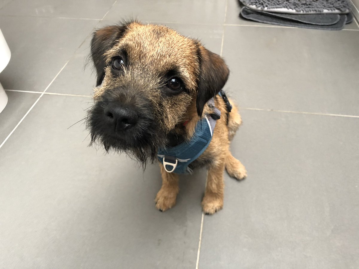 Pweeeeeeze! 😋😋😋