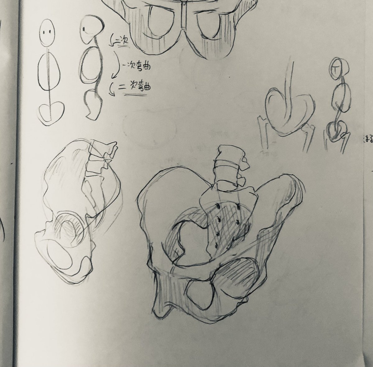@tos 
#201209Leafst絵の練習 
4日目
骨盤の続きと肩
下半身はまだ先だ 
