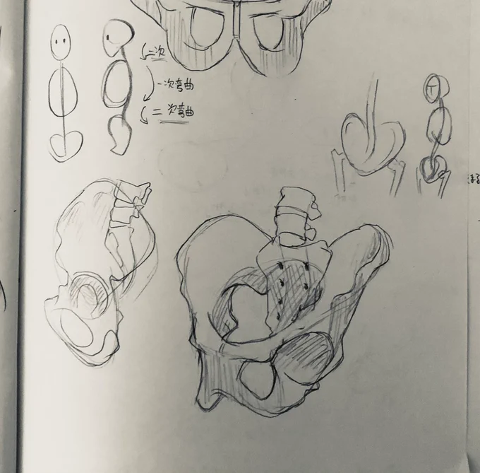 @tos 
#201209Leafst絵の練習 
4日目
骨盤の続きと肩
下半身はまだ先だ 