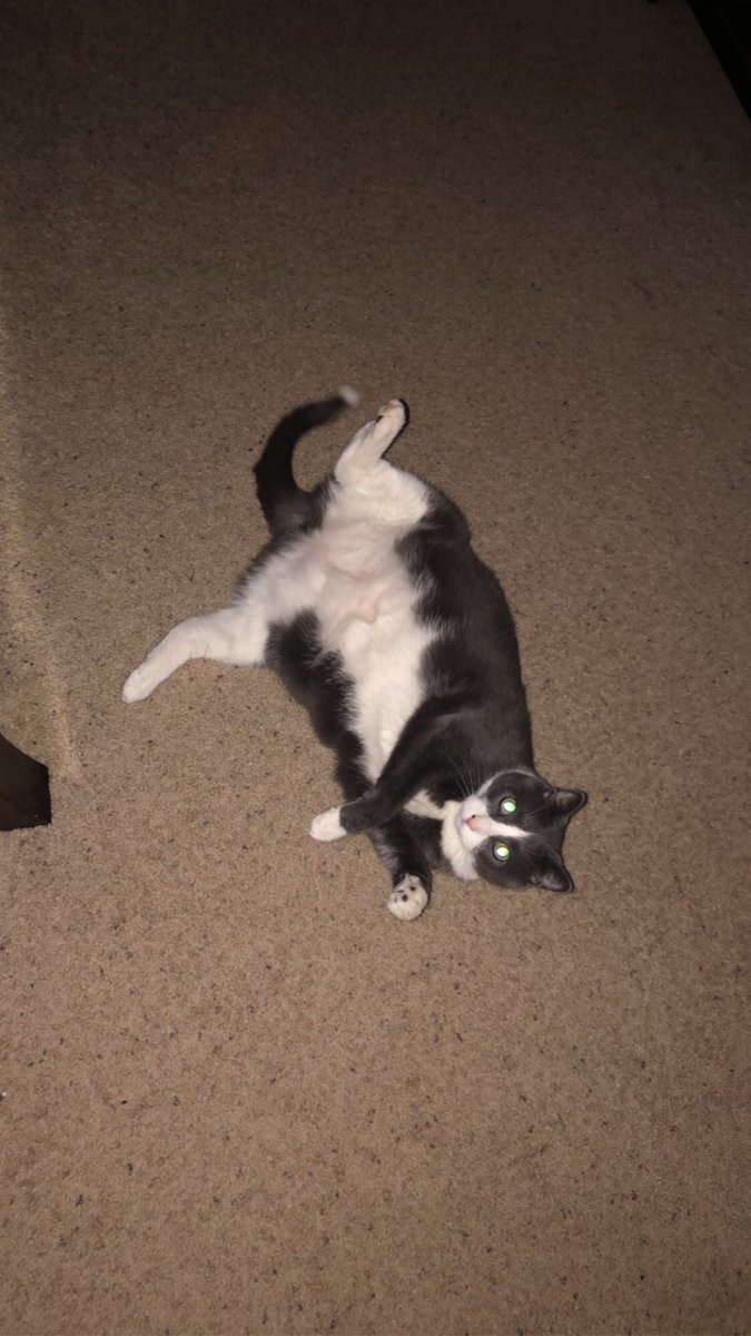 willowkimtin's tweet photo. @sarge_stan ime.,,,, not evin that chunkly i sware https://t.co/a3nu2t01aP