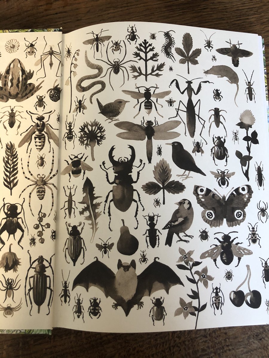 jesuispasur's tweet photo. Magnifique bd de Simon Hureau « l’oasis » Petite genèse d’un jardin biodivers. ON ADORE !
#bd #loasis @EditionsDargaud https://t.co/VE0diweK9Q