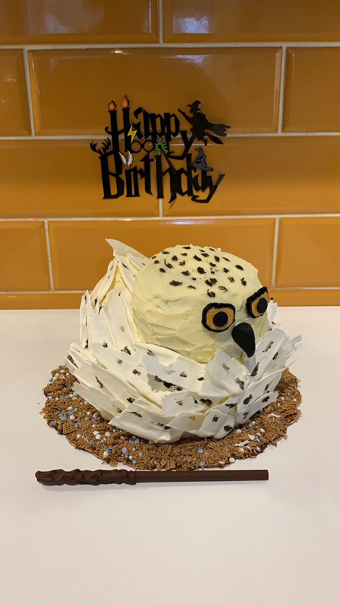 AgentsOfCake's tweet photo. A gorgeous Hedwig for my daughters birthday, she helped me make her and stick the chocolate feathers on 🎂❤️ #hedwigcake #harrypottercake #owlcake #birthdaycake #kidscakes #childrenscakes https://t.co/xoFGIJIOF9