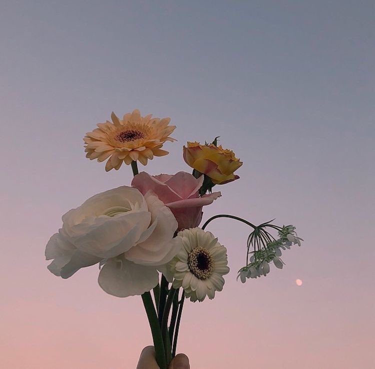 the most beautiful hello,

#xiuminisback