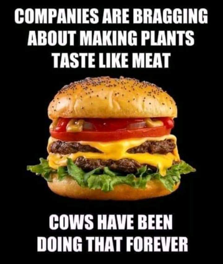 HeyJeffreyDavis's tweet photo. Does any non vegetarian actually like veggie burgers?
#food #vegetarian #veganfood #burgers #myfavoritefood #wtf #forealthough https://t.co/3aUiFivSDN