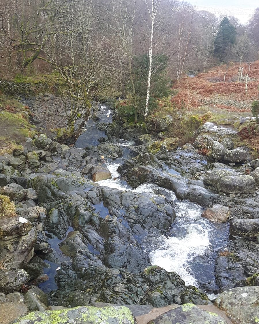 Such beauty
#waterfall
#waterfalls
#waterfallphotography #beautifulwaterfall #beautifulwaterfalls
#beautiful #beautifuldestinations #beautifulday #beautifulweather #britishwildlife #beautifulwater #landscapephotography #landscape #landscapelovers #beautifulnature #beautifulplaces
