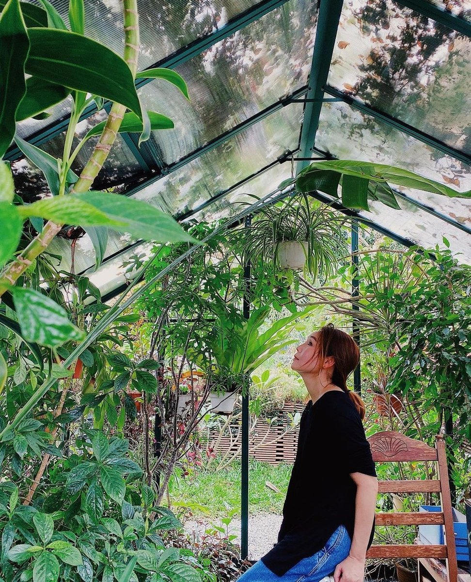 Jomkitamy's tweet photo. [ JomKitaPergi ] - Hidden Kebun Di KL Yang Sangat Menarik!!!! 🐑🌳 #JomKita
.
Boleh Datang Bila Bila Masa Guys Tak Payah Buat Appointment!! 😍
.
Lokasi 📍: Kebun Kebun Bangsar, KL https://t.co/pmIkJWwQ0R