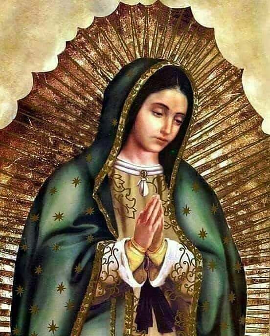 Felicidades hoy en tú día Madre mía!

Virgen de Guadalupe, te pido por todos tus hijos, y que nos ayudes en los problemas que estamos atravesando en estos tiempos de pandemia se resuelvan, que nuestra salud siempre sea la mejor tanto física como espiritu… instagr.am/p/CIsnxvMAvBr/
